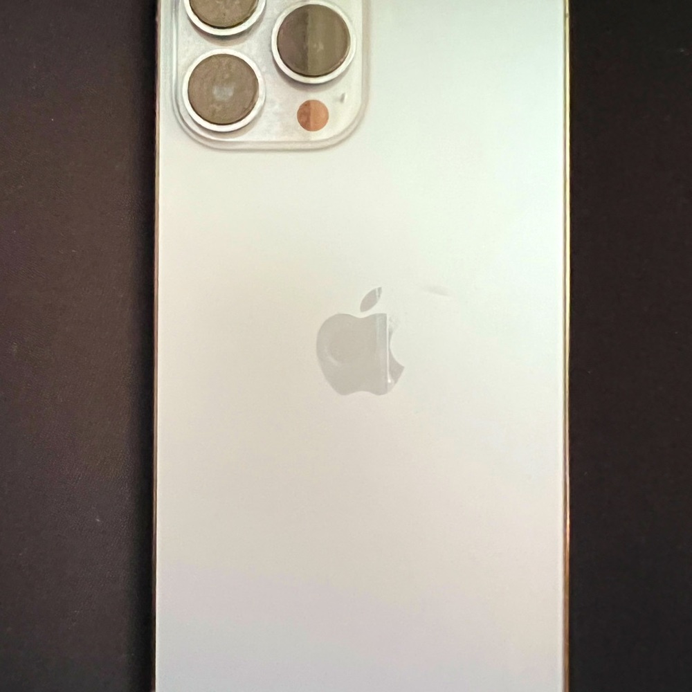 IPHONE 13 ProMax 67GB